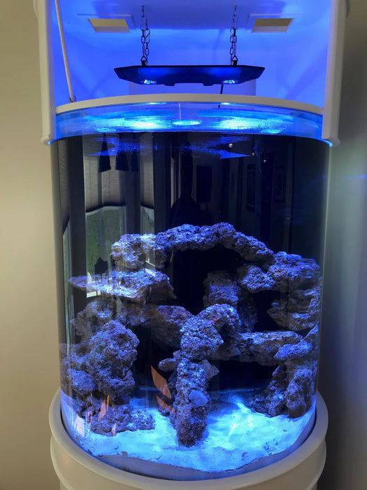 AQUA VIM 115 Gallon 3/4 Cylinder Glass Reef-Ready Aquarium Set in Tulum Whi