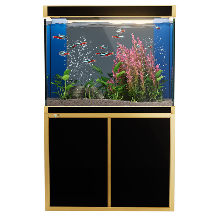 Aqua Dream 100 Gallon Tempered Glass Aquarium - Black and Gold
