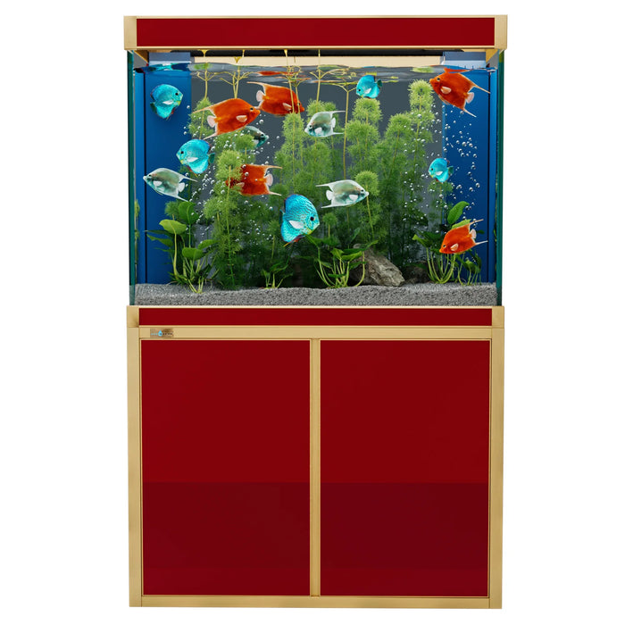 Aqua Dream 100 Gallon Tempered Glass Aquarium - Red and Gold