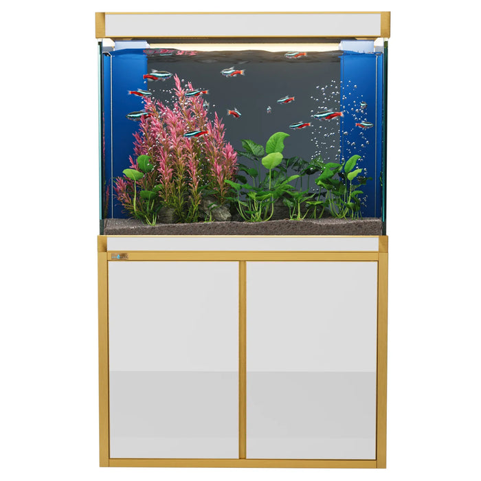 Aqua Dream 100 Gallon Aquarium – White & Gold Tempered Glass