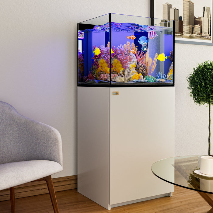 Aqua Dream 37-Gallon Coral Reef Aquarium: Ultra Clear Glass with Built-in Sump - White
