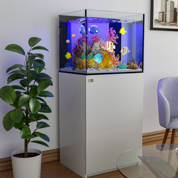 Aqua Dream 63 Gallon Coral Reef Aquarium: Ultra Clear Glass & Built-In Sump - White