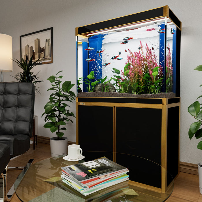 Aqua Dream 100 Gallon Tempered Glass Aquarium - Black and Gold