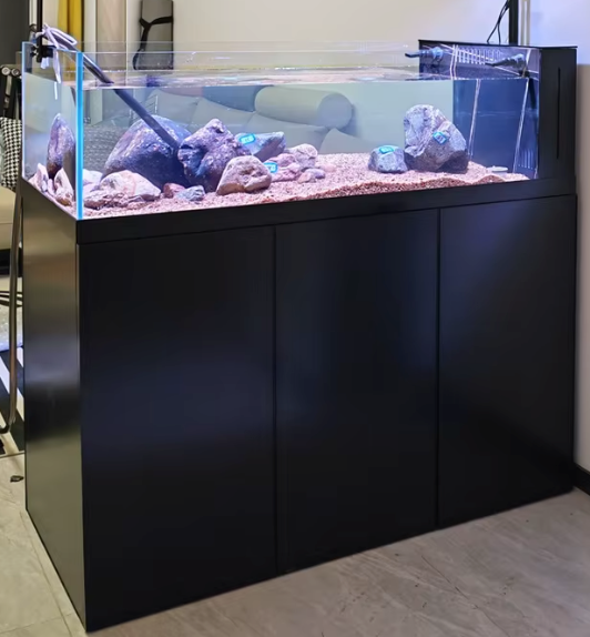 Indoor Fish Custom Glass Aquarium Large Freshwater and Saltwater Fish Tank