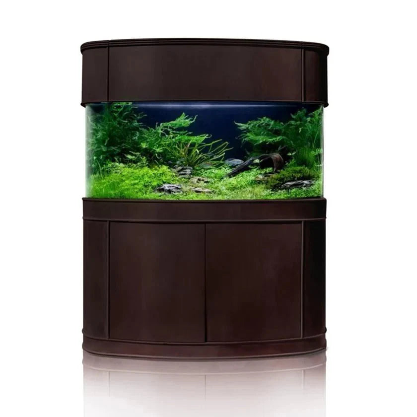 Luxury Aquariums
