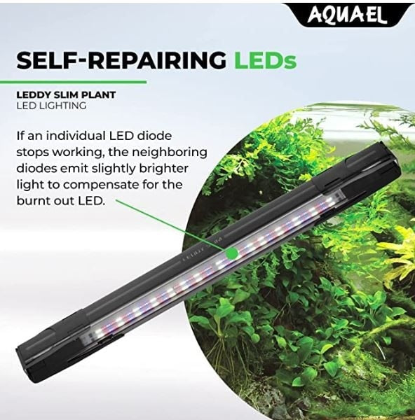 LEDDY SLIM 5W Plant 8"-11.75"